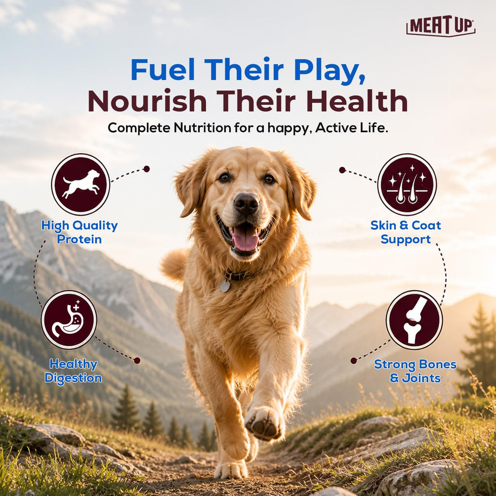 Meat Up Adult Dry Dog Food 6kg (3kg + 3kg) | Chicken Flavour | Glucosamine for Healthy Joints & Bones | Enriched with Vitamins & Minerals | Supports Digestive Health