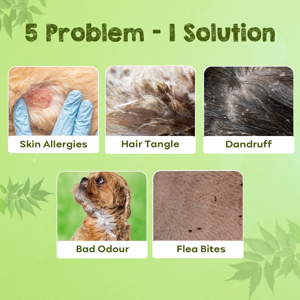 Pil Neem Plus Herbal Pet Shampoo 1000ml | Puppy Safe | Anti-Fungal, Anti-Ticks and Fleas, Antibacterial, Antiseptic & pH Balanced Dog Shampoo | Regular use Coat Cleansing Shampoo for Pets