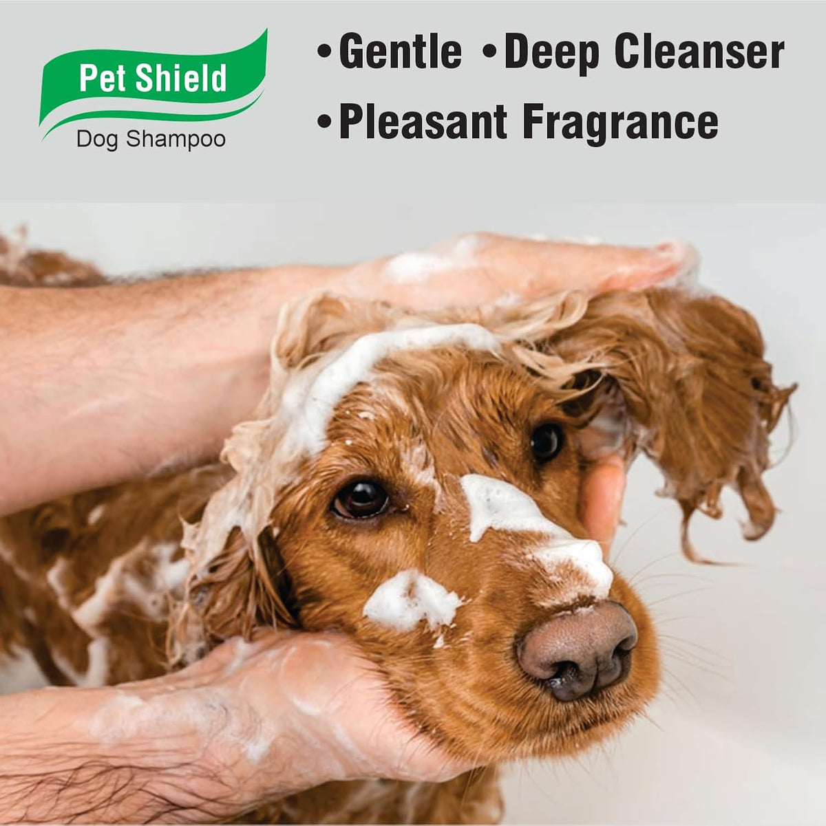 Pil Neem Plus Herbal Pet Shampoo 1000ml | Puppy Safe | Anti-Fungal, Anti-Ticks and Fleas, Antibacterial, Antiseptic & pH Balanced Dog Shampoo | Regular use Coat Cleansing Shampoo for Pets