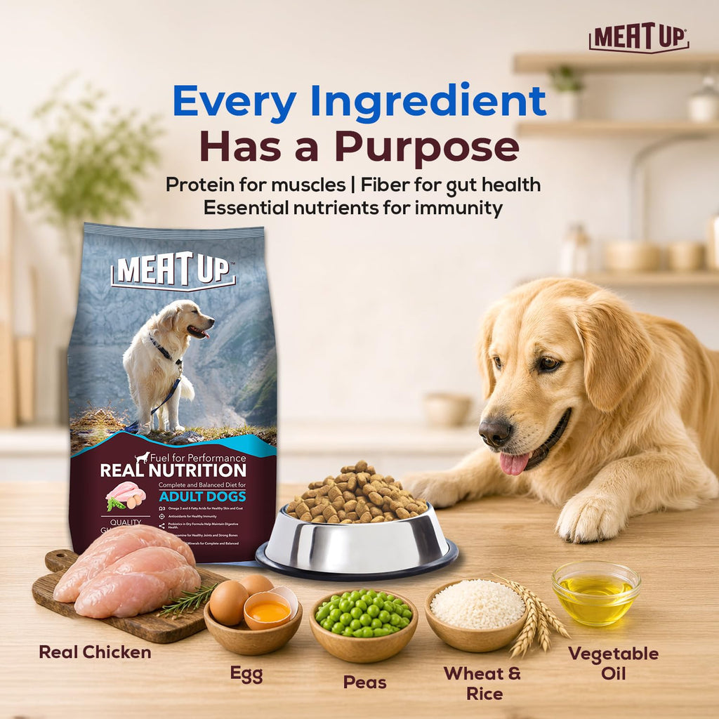 Meat Up Adult Dry Dog Food 6kg (3kg + 3kg) | Chicken Flavour | Glucosamine for Healthy Joints & Bones | Enriched with Vitamins & Minerals | Supports Digestive Health