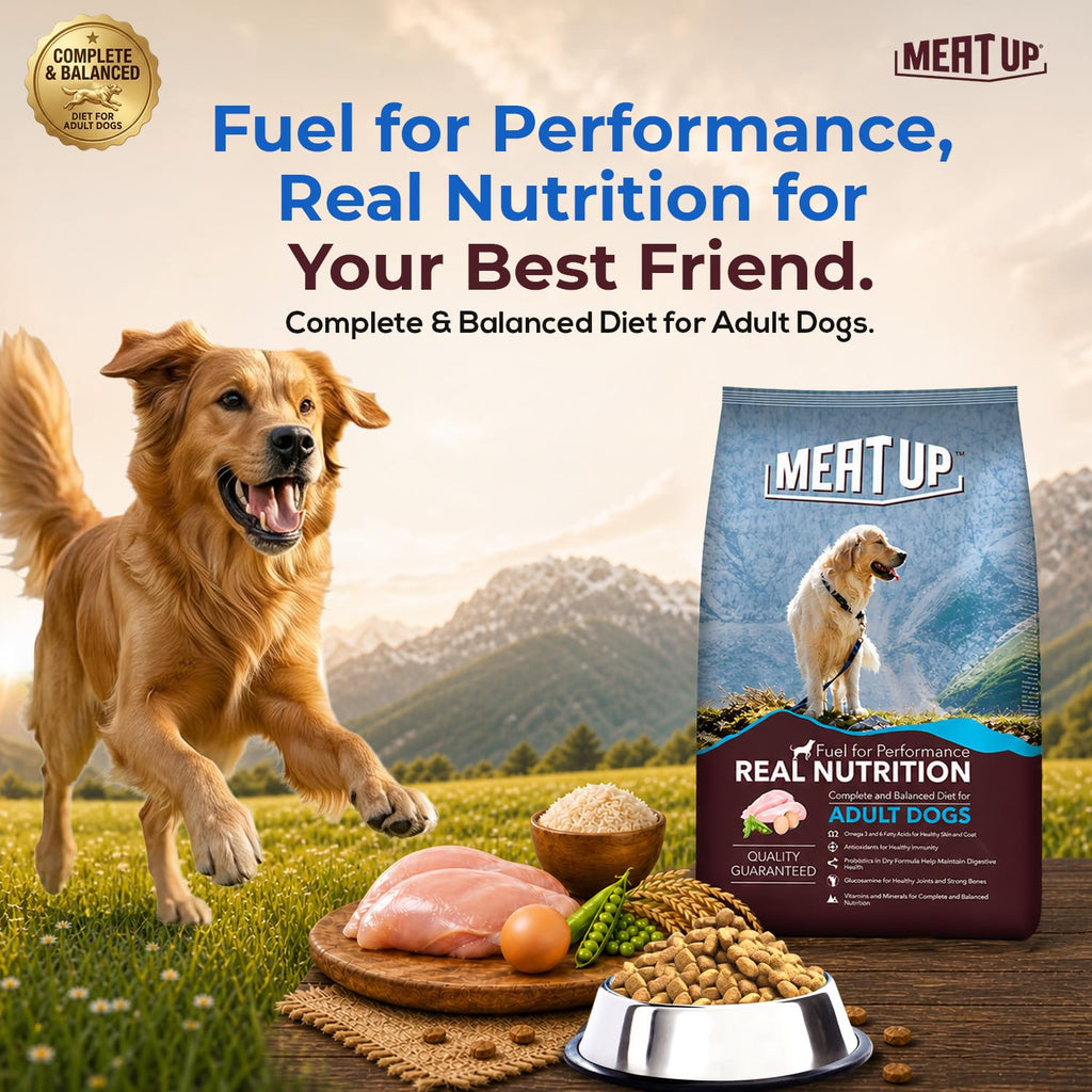 Meat Up Adult Dry Dog Food 6kg (3kg + 3kg) | Chicken Flavour | Glucosamine for Healthy Joints & Bones | Enriched with Vitamins & Minerals | Supports Digestive Health